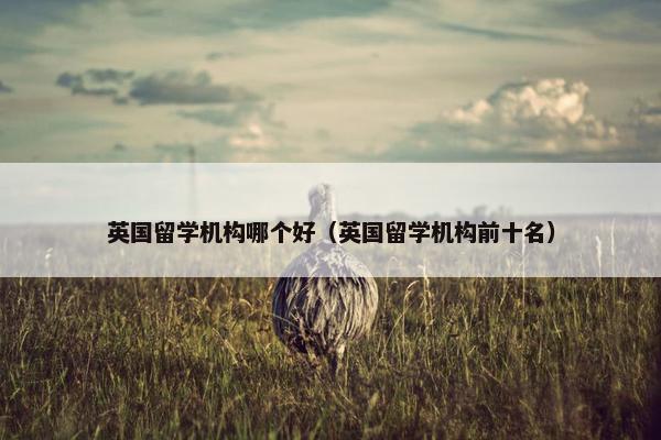 英国留学机构哪个好（英国留学机构前十名）