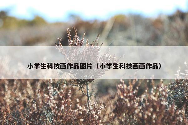 小学生科技画作品图片（小学生科技画画作品）
