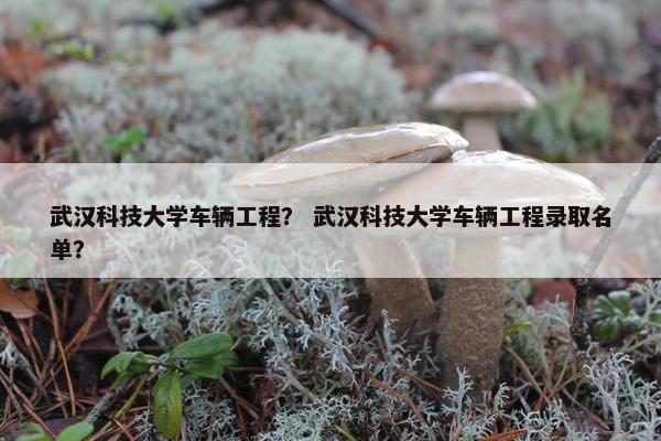 武汉科技大学车辆工程？ 武汉科技大学车辆工程录取名单？
