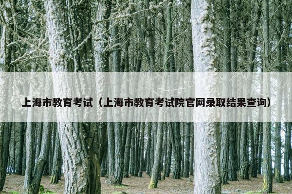 上海市教育考试（上海市教育考试院官网录取结果查询）