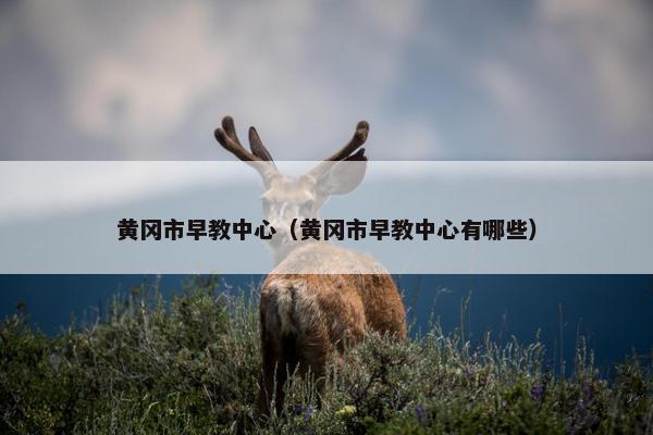 黄冈市早教中心（黄冈市早教中心有哪些）