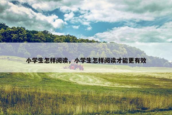 小学生怎样阅读，小学生怎样阅读才能更有效
