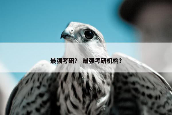 最强考研？ 最强考研机构？