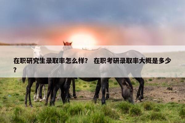 在职研究生录取率怎么样？ 在职考研录取率大概是多少？