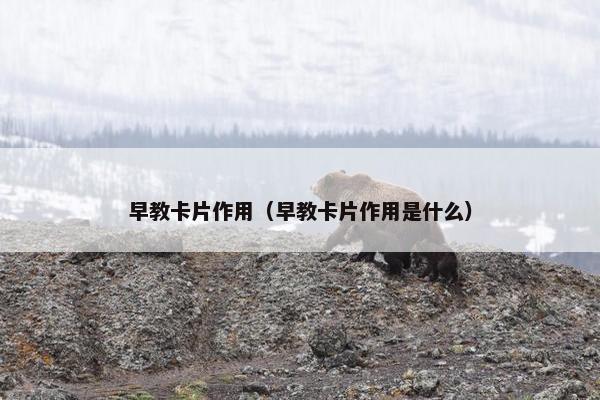 早教卡片作用（早教卡片作用是什么）