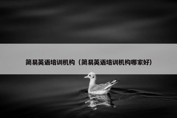 简易英语培训机构（简易英语培训机构哪家好）
