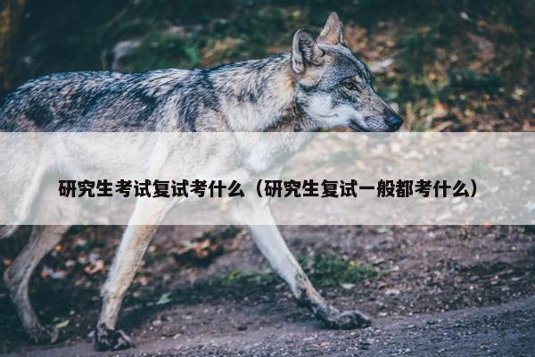研究生考试复试考什么（研究生复试一般都考什么）