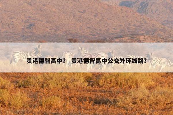 贵港德智高中？ 贵港德智高中公交外环线路？