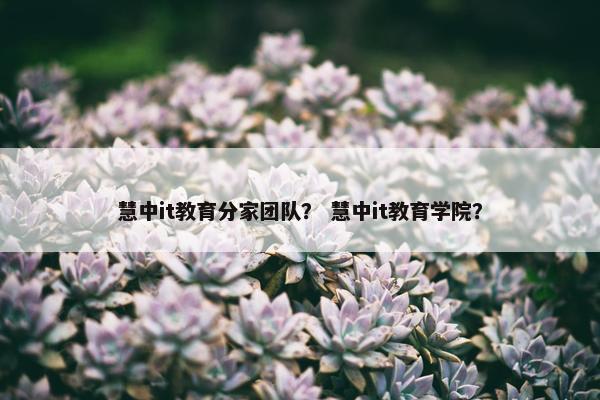 慧中it教育分家团队？ 慧中it教育学院？