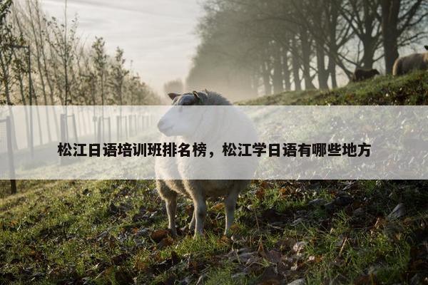 松江日语培训班排名榜，松江学日语有哪些地方