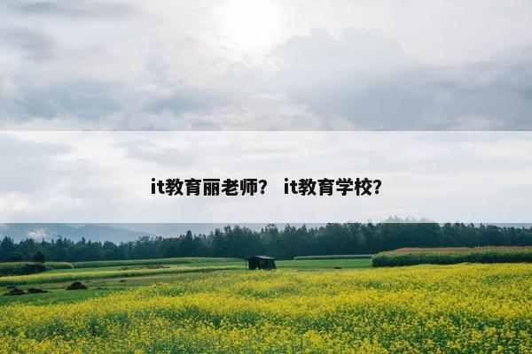 it教育丽老师？ it教育学校？