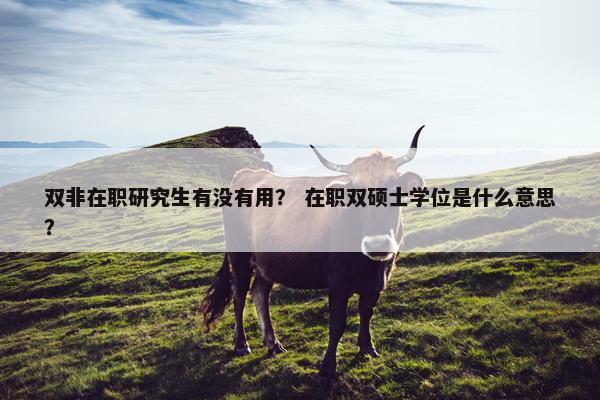 双非在职研究生有没有用？ 在职双硕士学位是什么意思？