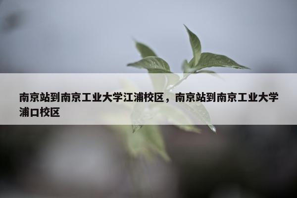 南京站到南京工业大学江浦校区，南京站到南京工业大学浦口校区