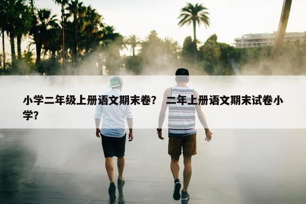 小学二年级上册语文期末卷？ 二年上册语文期末试卷小学？