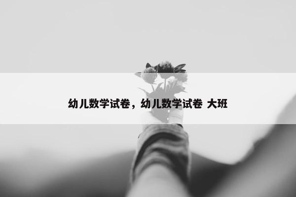 幼儿数学试卷，幼儿数学试卷 大班