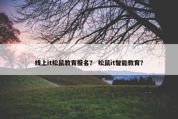 线上it松鼠教育报名？ 松鼠it智能教育？