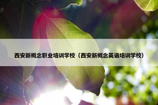 西安新概念职业培训学校（西安新概念英语培训学校）