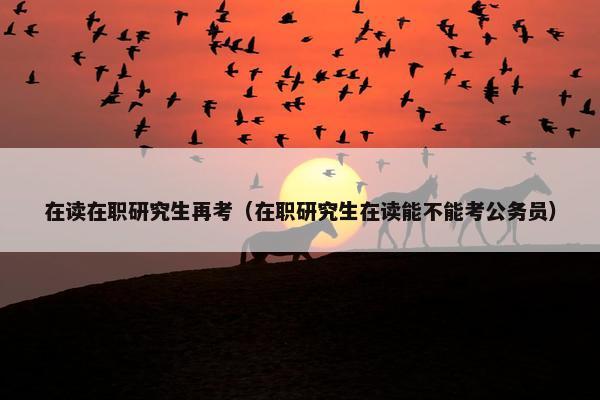 在读在职研究生再考（在职研究生在读能不能考公务员）