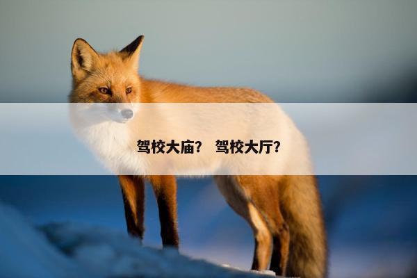 驾校大庙？ 驾校大厅？