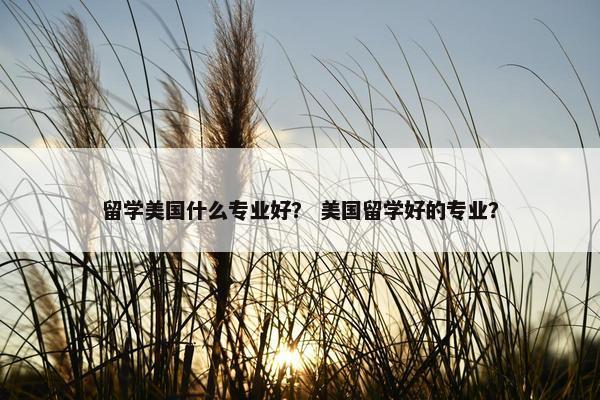 留学美国什么专业好？ 美国留学好的专业？