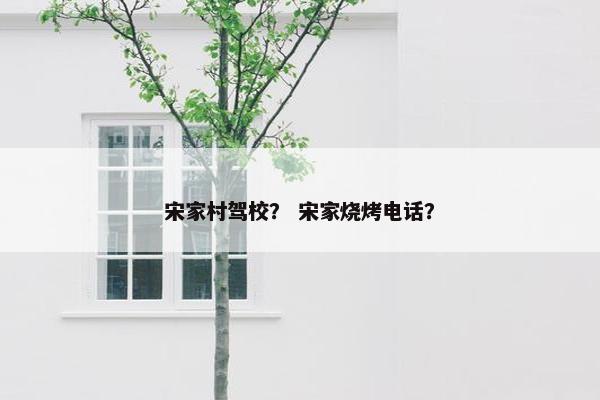 宋家村驾校？ 宋家烧烤电话？