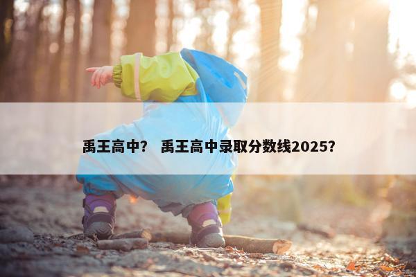 禹王高中？ 禹王高中录取分数线2025？