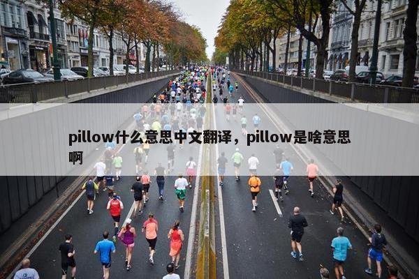pillow什么意思中文翻译，pillow是啥意思啊