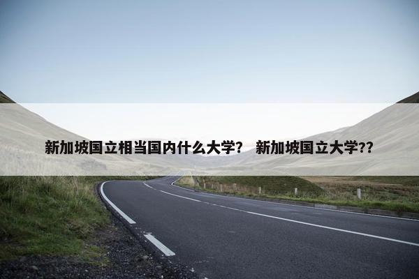 新加坡国立相当国内什么大学？ 新加坡国立大学?？