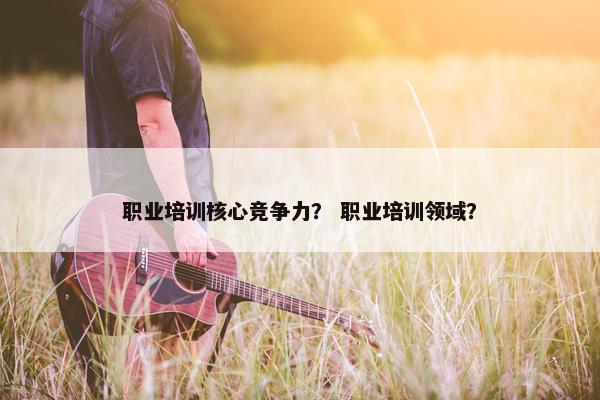 职业培训核心竞争力？ 职业培训领域？