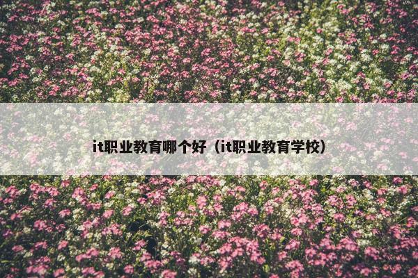 it职业教育哪个好（it职业教育学校）