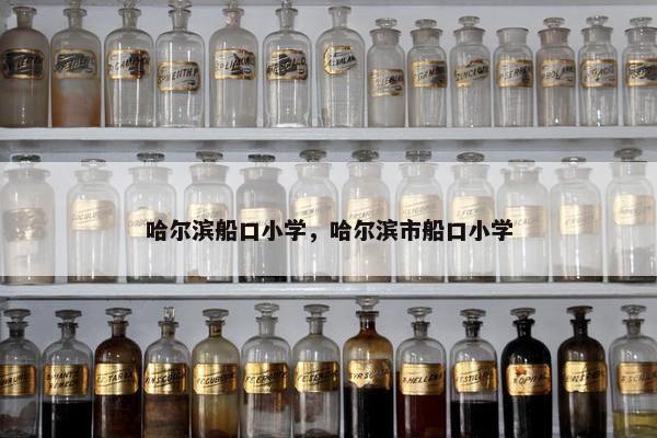 哈尔滨船口小学，哈尔滨市船口小学