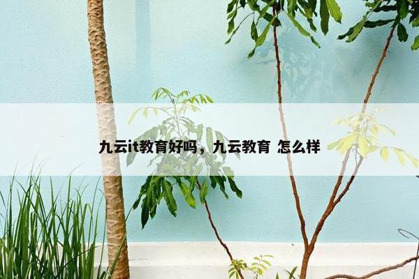 九云it教育好吗，九云教育 怎么样