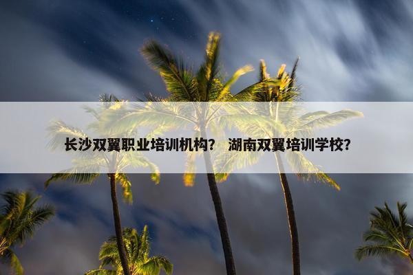 长沙双翼职业培训机构？ 湖南双翼培训学校？
