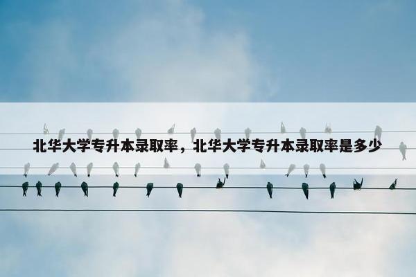 北华大学专升本录取率，北华大学专升本录取率是多少