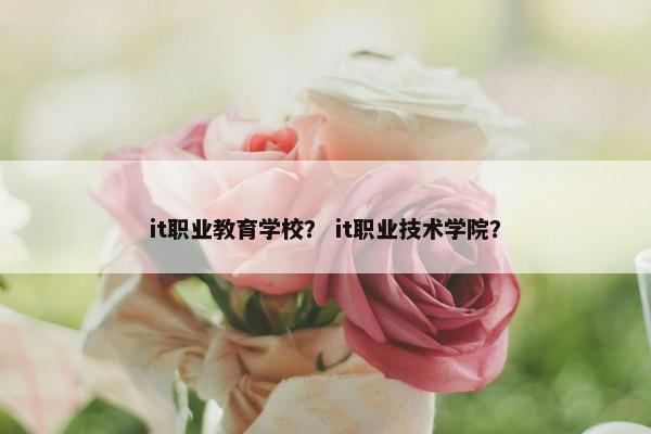it职业教育学校？ it职业技术学院？