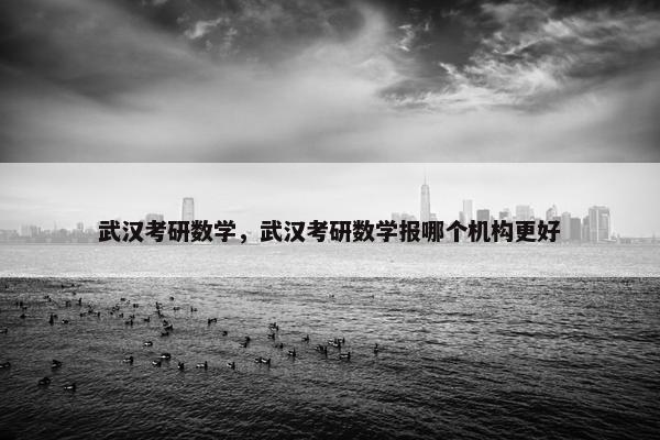 武汉考研数学，武汉考研数学报哪个机构更好