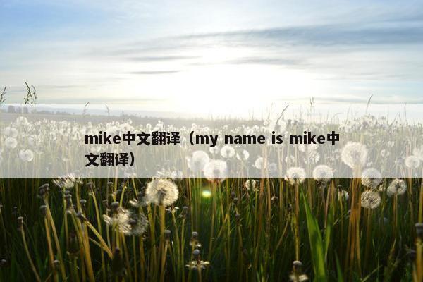 mike中文翻译（my name is mike中文翻译）