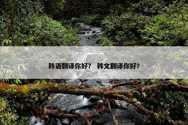 韩语翻译你好？ 韩文翻译你好？