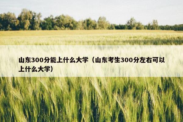 山东300分能上什么大学（山东考生300分左右可以上什么大学）