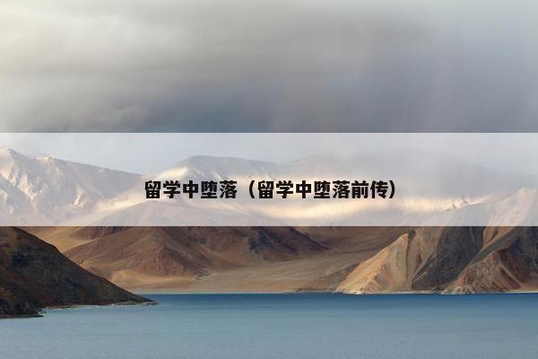 留学中堕落（留学中堕落前传）