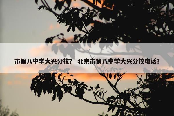 市第八中学大兴分校？ 北京市第八中学大兴分校电话？
