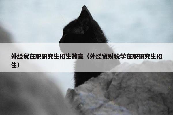 外经贸在职研究生招生简章(外经贸财税学在职研究生招生) 外经贸在职研究生招生简章(外经贸财税学在职研究生招生)