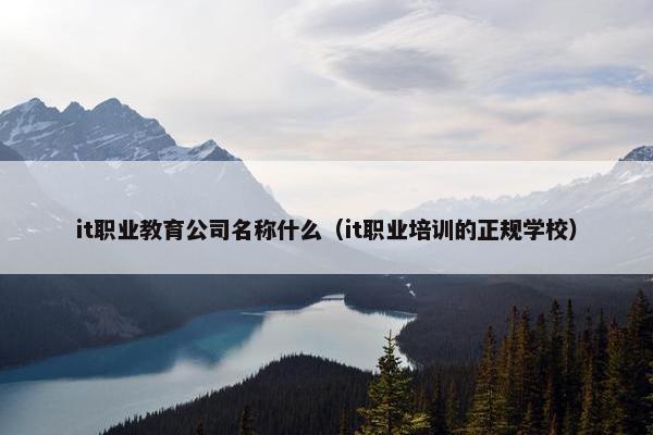 it职业教育公司名称什么（it职业培训的正规学校）