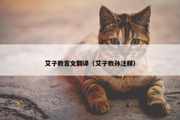 艾子教言文翻译（艾子教孙注释）