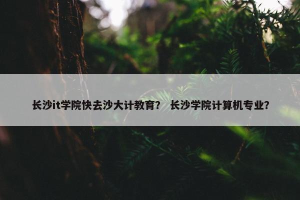 长沙it学院快去沙大计教育？ 长沙学院计算机专业？