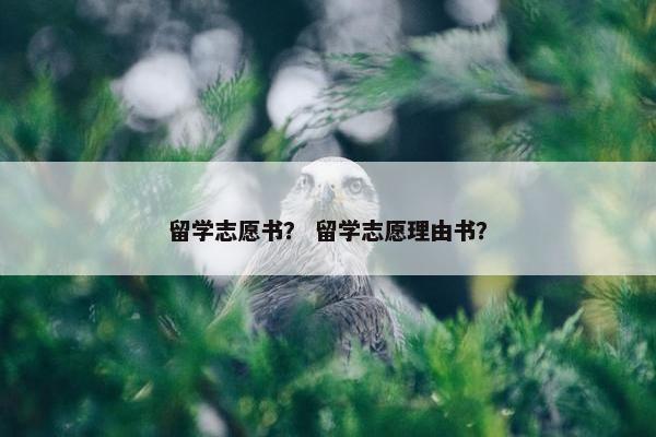 留学志愿书？ 留学志愿理由书？