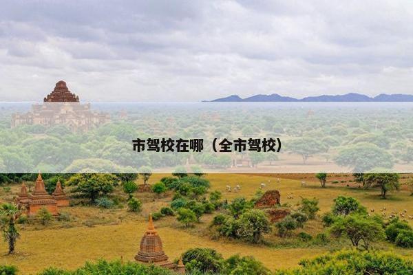 市驾校在哪（全市驾校）