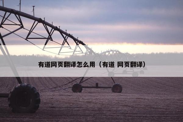 有道网页翻译怎么用（有道 网页翻译）