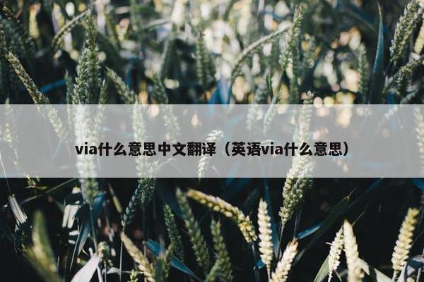 via什么意思中文翻译（英语via什么意思）