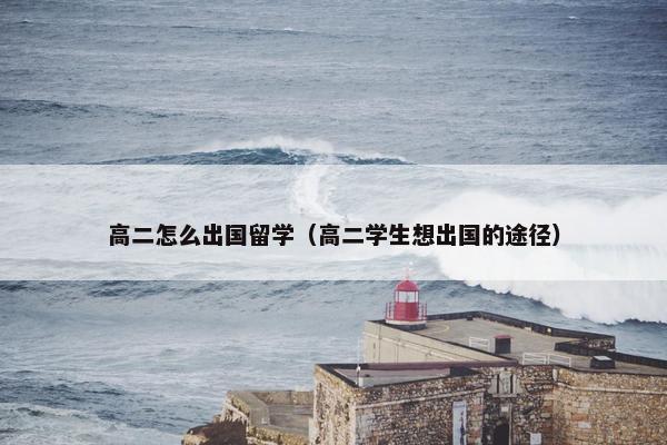 高二怎么出国留学（高二学生想出国的途径）